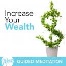 Increase Your Wealth Audiobook