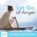 Let Go of Anger Audiobook