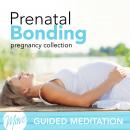 Prenatal Bonding Audiobook
