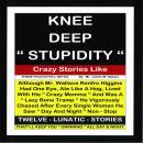 Knee Deep Stupidity Audiobook