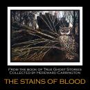 The Stains of Blood Audiobook