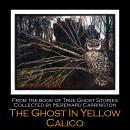 The Ghost in Yellow Calico Audiobook
