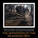 The Apparition of the Murdered Boy Audiobook