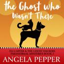 The Ghost Who Wasn't There Audiobook