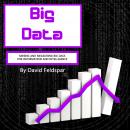 Big Data: Mining and Measuring Big Data for Information and Intelligence Audiobook