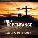 True Repentance Audiobook