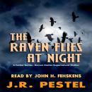 The Raven Flies at Night Audiobook