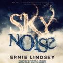 Skynoise: A Time Travel Thriller Audiobook