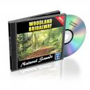 Woodland Bridal Way - Relaxation Music and Sounds: Natural Sounds Collection Volume 12, Empowered Living