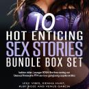 10 Hot Enticing Sex Stories Bundle Box Set: leasbian Older/Younger BDSM First Time  Coming Out Bisex Audiobook