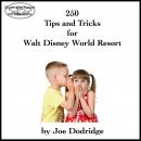 250 Tips and Tricks for Walt Disney World Resort Audiobook
