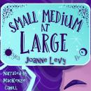 Small Medium at Large Audiobook