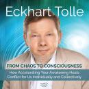 From Chaos to Consciousness: How Accelerating Your Awakening Heals Conflict for Us Individually and Collectively Audiobook