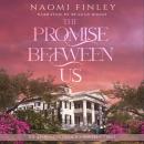 The Promise Between Us Audiobook
