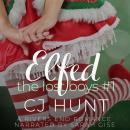 Elfed: A Rivers End Holiday Romance Audiobook