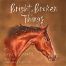 Bright, Broken Things: A Good Things Come Prequel Audiobook