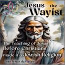 Jesus the Wayist: The Teaching of Jesus Before Christians made it a Jewish Religion Audiobook