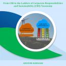 From CSR to the Ladders of Corporate Responsibilities and Sustainability (CRS) Taxonomy Audiobook