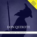 Don Quixote Audiobook