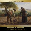 [German] - Unterm Birnbaum Audiobook