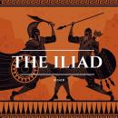The Iliad Audiobook