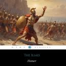 The Iliad Audiobook