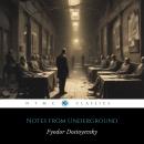 Notes from Underground Audiobook