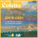 [French] - Jour gris Audiobook