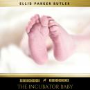 The Incubator Baby Audiobook