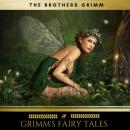 Grimm's Fairy Tales Audiobook