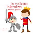 Les meilleures histoires pour les garcons Audiobook