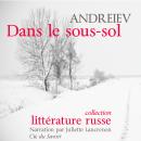 Dans le sous-sol Audiobook