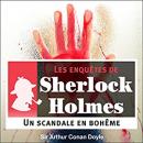 11 enquêtes de Sherlock Holmes Audiobook