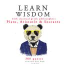 Learn wisdom with Classical Greek philosophers: Plato, Socrates, Aristotle Audiobook