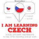 I am learning Czech Audiobook