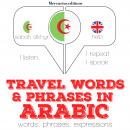 Travel words and phrases in Arabic Audiobook