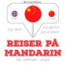 Reiser p Mandarin Audiobook