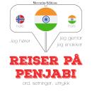 Reiser p penjabi Audiobook