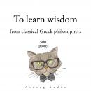 500 Quotes to Learn Wisdom from Classical Greek Philosophers Audiobook