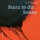 [German] - Sturz in die Sonne: Roman Audiobook