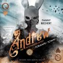 [German] - Andrew im Wunderland (Band 2): Toranpu Town Audiobook