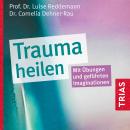 Trauma heilen (Hörbuch): Mit Übungen und geführten Imaginationen Audiobook