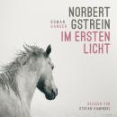 [German] - Im ersten Licht: Roman Audiobook