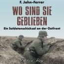 Wo sind sie geblieben: Ein Soldatenschicksal an der Ostfront Audiobook