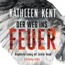 [German] - Der Weg ins Feuer - Betty-Rhyzyk-Serie - Thriller, Band 2 (Ungekürzt) Audiobook