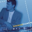 EigenSinn: Songs zum Buch Die Entscheidung liegt bei Dir Audiobook