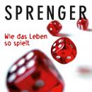 Wie das Leben so spielt Audiobook