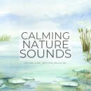 Calming Nature Sounds (Without Music) for Deep Sleep, Meditation, Relaxation: Gentle rain, warm spri Audiobook