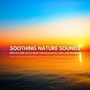 Soothing Nature Sounds with 432 and 528 Hz Music for Relaxation, Sleep, and Dreaming: Ocean Waves, F Audiobook