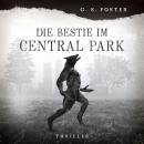 [German] - Penny Archer, Band 3: Die Bestie im Central Park Audiobook